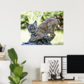 Poster Lynx Kitten (Bureau à domicile)