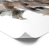 Poster Lynx - Spirit Animal, Aquarelle Totem Joga Guide (Coin)