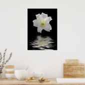 Poster lys blanc (Cuisine)