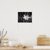 Poster Lys blancs (Cuisine)