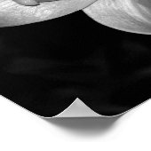 Poster Lys blancs (Coin)