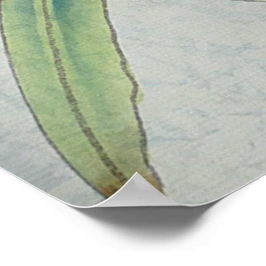 Poster Lys blancs (Coin)