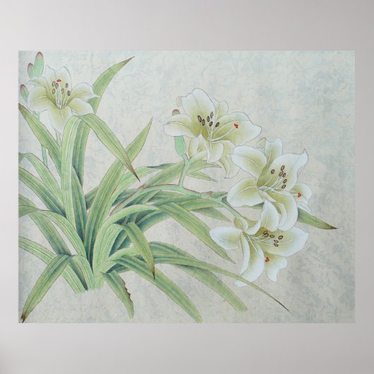 Poster Lys blancs (Devant)