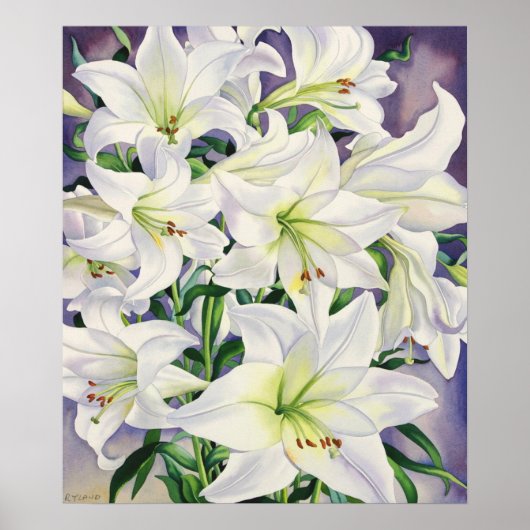 Poster Lys blancs 2008 (Devant)