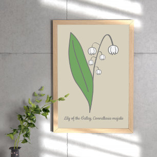 Poster Lys botanique de la Fleur de Vallée Pastel