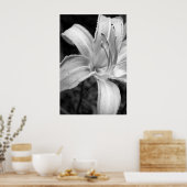 Poster lys bw (Cuisine)