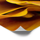 Poster Lys calla brillants et colorés au (Coin)