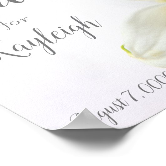 Poster Lys calla en surplomb en gros plan (Coin)