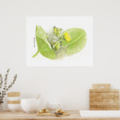 Poster Lys de fleurs (Cuisine)