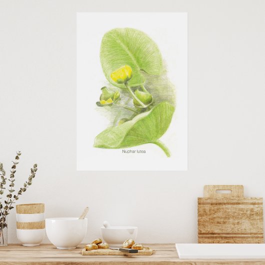 Poster Lys de fleurs (Cuisine)