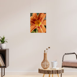 Poster Lys de jour