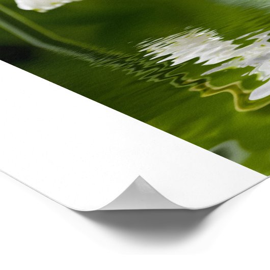 Poster lys de la vallée (Coin)