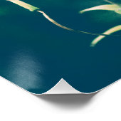 Poster Lys de tigre (Coin)