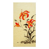 Poster Lys de tigre - rouge (Devant)