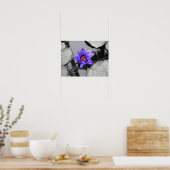 Poster Lys d'eau (Cuisine)