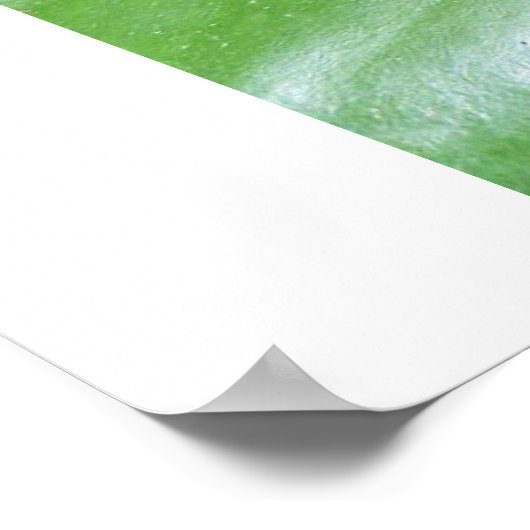 Poster Lys d'eau (Coin)