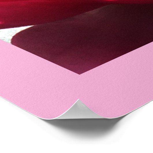 Poster Lys d'eau (Coin)