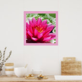 Poster Lys d'eau (Cuisine)