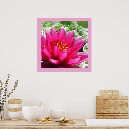 Poster Lys d'eau (Cuisine)