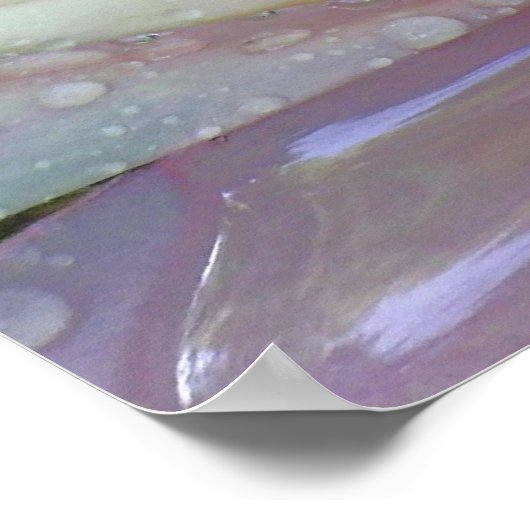 Poster Lys d'eau (Coin)