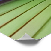 Poster Lys d'eau (Coin)