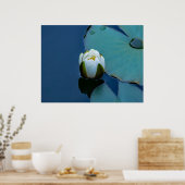 Poster Lys d'eau blanche dans l'étang, photographie de la (Cuisine)