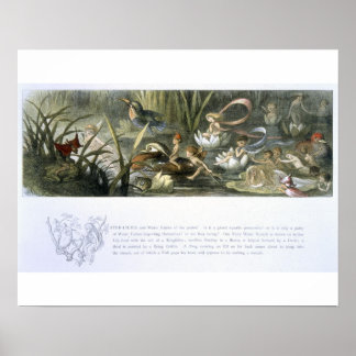 Poster Lys d'eau et fées d'eau, illustration de