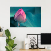 Poster Lys d'eau Lotus (Bureau à domicile)