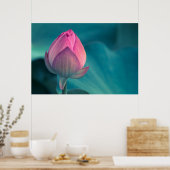 Poster Lys d'eau Lotus (Cuisine)