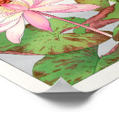 Poster Lys d'eau par Tanigami Konan (Coin)