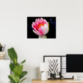 Poster Lys d'eau rose (Bureau à domicile)