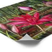 Poster Lys d'eau rouge de l'Inde- Marianne Nord (Coin)