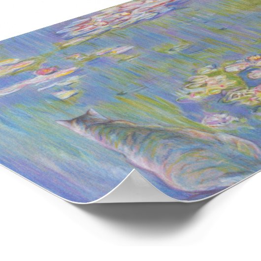 Poster Lys et chat Oscar-Claude Monet (Coin)