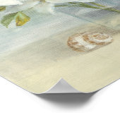 Poster Lys et coquilles blancs (Coin)