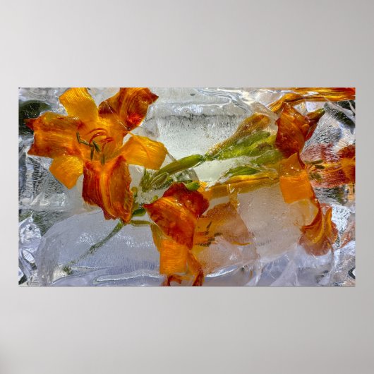 Poster Lys glacés, (Devant)