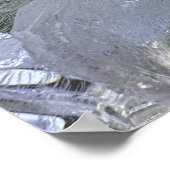 Poster Lys glacés, (Coin)