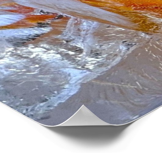 Poster Lys glacés, (Coin)