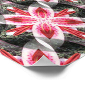 Poster Lys in Love.... (Coin)