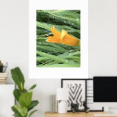 Poster Lys jaune parmi l'herbe couverte de rosée (Bureau à domicile)
