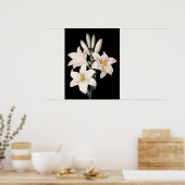 Poster Lys noirs et blancs spectaculaires (Cuisine)