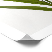 Poster Lys orange fleurissant sur l'affiche arrière - pla (Coin)