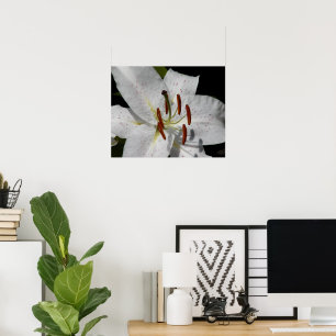 Poster Lys Oriental Blanc Floral Photographique