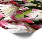 Poster Lys Rouge Et Blanc Floral Abstrait (Coin)