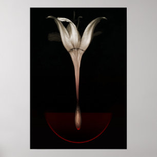 Poster Lys saignant 2013