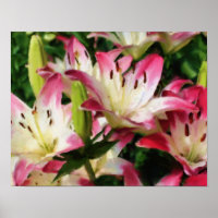 Lys souriants Art Fleur Peinture Photo