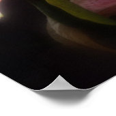 Poster lys stargazers #15 (Coin)