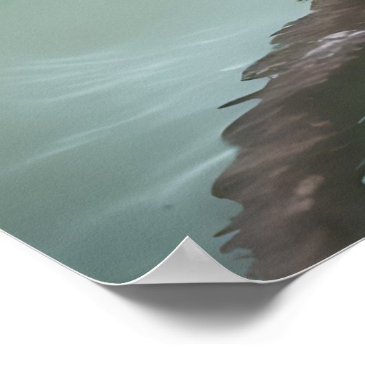 Poster Lys sur l'étang (Coin)