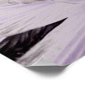 Poster Lys violets sauvages.... (Coin)