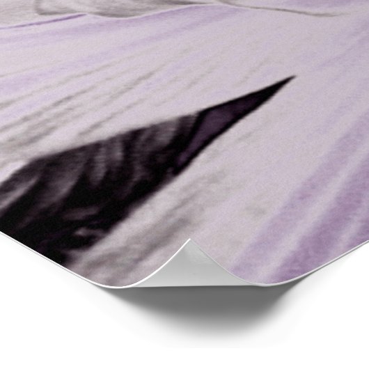 Poster Lys violets sauvages.... (Coin)