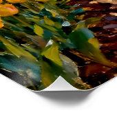 Poster “Lysbeth in the Amber Light” - A Dutch Landscape (Coin)